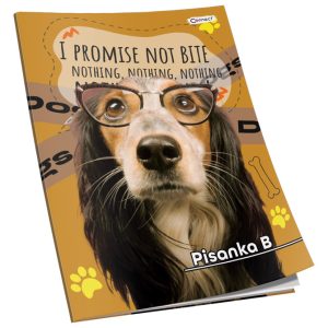 Obrazac školski pisanka “B” za 1razred Premium Connect Girl