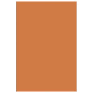 Filc ukrasni A4 pk10 Knorr Prandell 21-8436117 narančasti