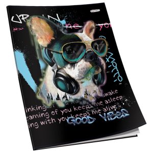 Teka meki uvez A4 crte 40L 80g sjaj+glitter Connect sortirani motivi